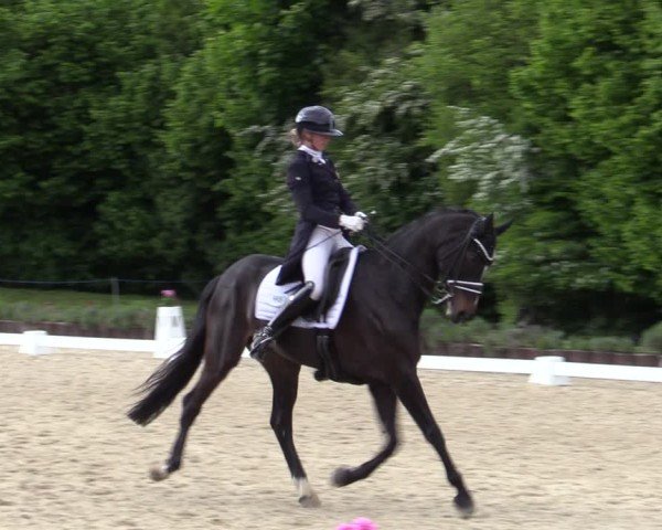 Reitturnier Lindlar - Reitanlage Dückers 2025