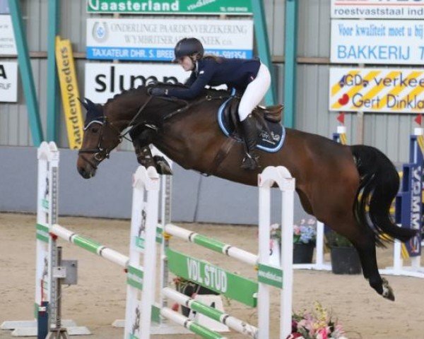 jumper Jeetjemina (KWPN (Royal Dutch Sporthorse), 2014, from VDL Harley)