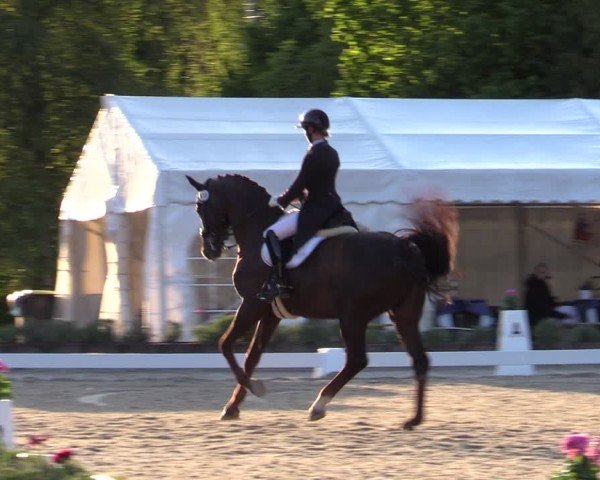 Reitturnier Lindlar - Reitanlage Dückers 2025