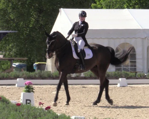 Reitturnier Lindlar - Reitanlage Dückers 2025
