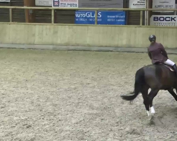 Hallenturnier Heidelberg-Kirchheim 2014