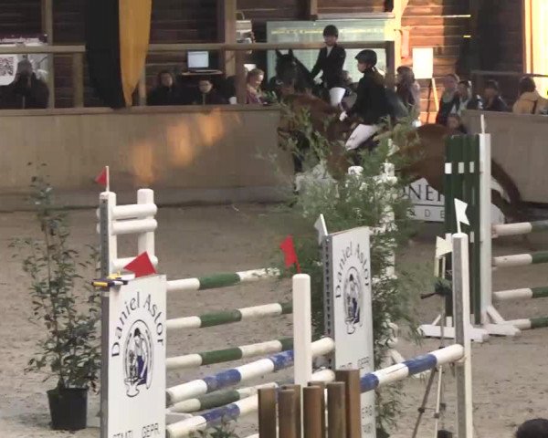 Hallenturnier Heidelberg-Kirchheim 2014