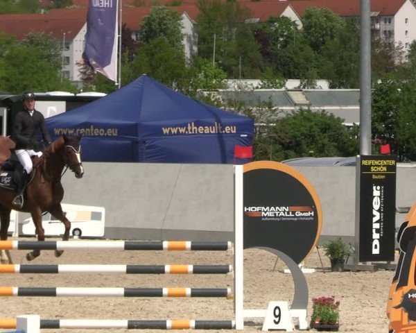 Reitturnier Zwickau 2025