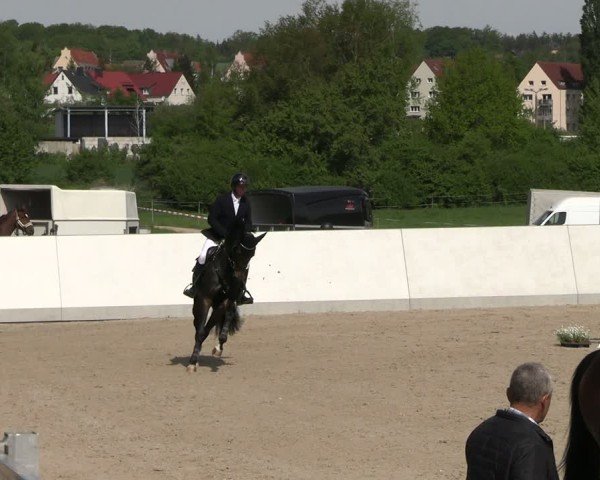 Reitturnier Zwickau 2025