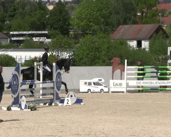 Reitturnier Zwickau 2025
