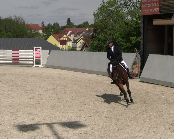 Reitturnier Zwickau 2025