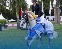 jumper Dr. Lasberg KES (Austrian Warmblood, 2018, from Darcosall de Revel)