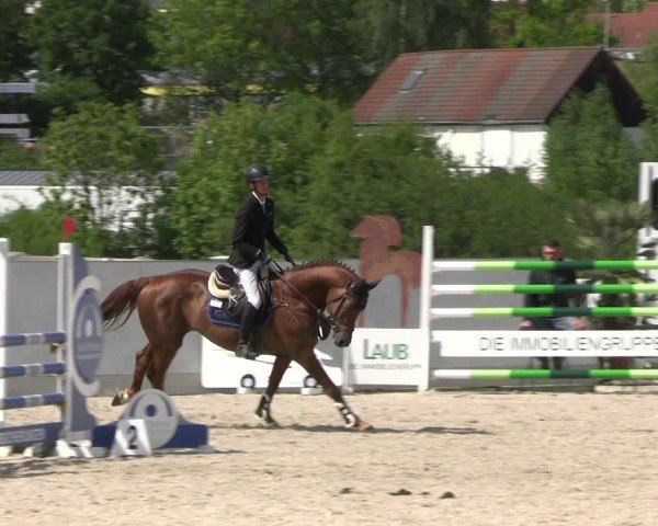 Reitturnier Zwickau 2025