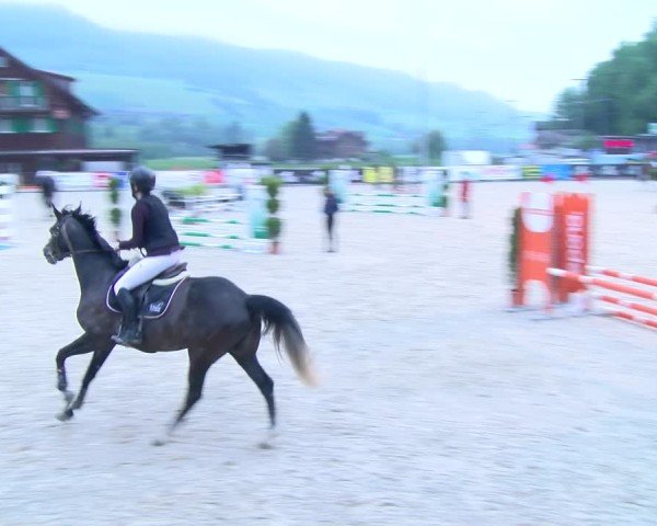 Reitturnier Schüpfheim 2025