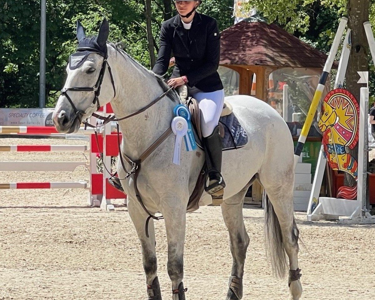jumper Crispy Cream 3 (German Sport Horse, 2017, from Costolany 3)