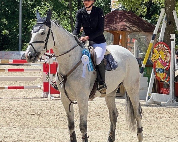 jumper Crispy Cream 3 (German Sport Horse, 2017, from Costolany 3)