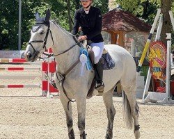 jumper Crispy Cream 3 (German Sport Horse, 2017, from Costolany 3)