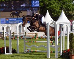 jumper Cromwell 32 (Bavarian, 2008, from Chacco-Blue)