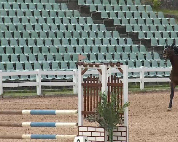 Reitturnier Kreuth/Opf. 2025