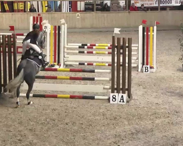 Hallenturnier Heidelberg-Kirchheim 2014