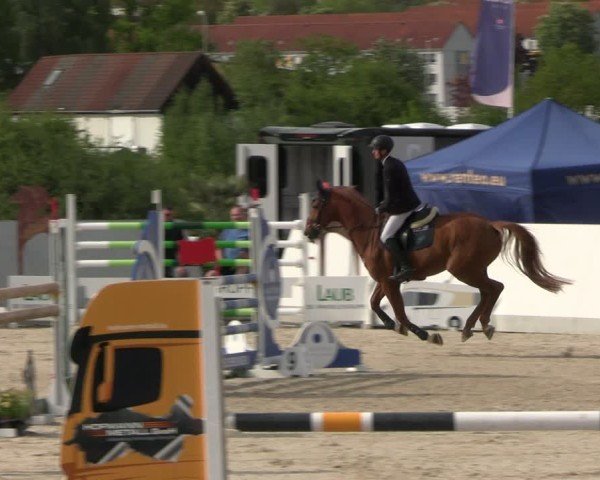 Reitturnier Zwickau 2025