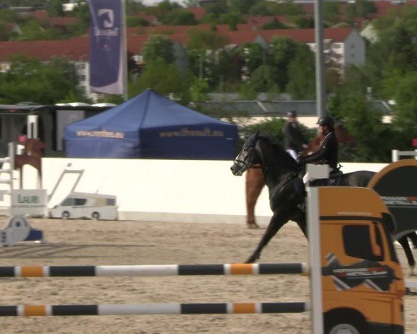 Reitturnier Zwickau 2025