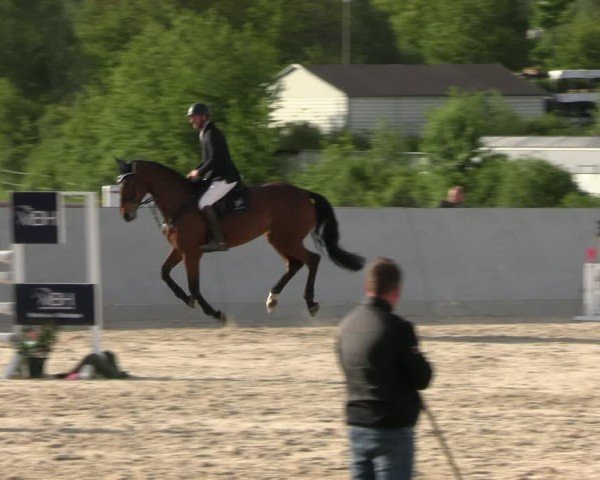 Reitturnier Zwickau 2025