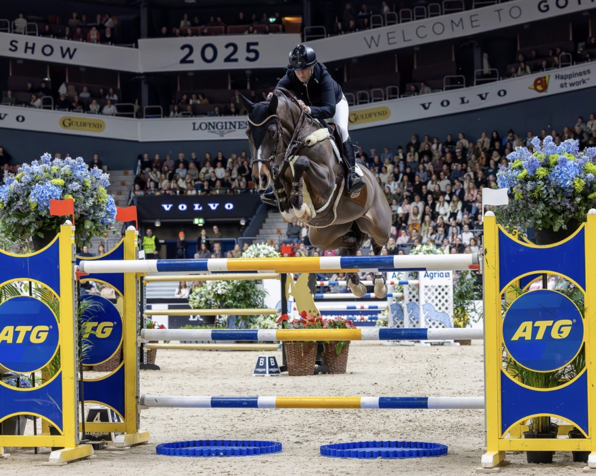Yegua de cría I. Comme Tessa Vhl (KWPN (Warmblood Neerlandés), 2013, de Comme il Faut)
