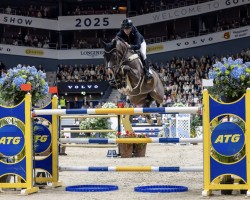 broodmare I. Comme Tessa Vhl (KWPN (Royal Dutch Sporthorse), 2013, from Comme il Faut)