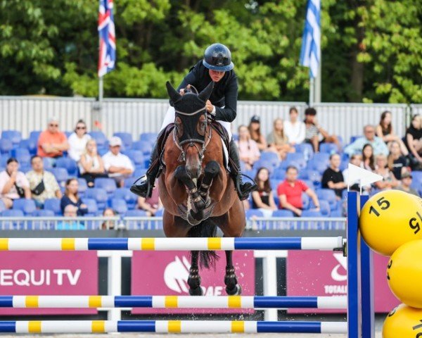 jumper Koberlina Tn (KWPN (Royal Dutch Sporthorse), 2015, from Eldorado van de Zeshoek)