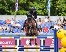 jumper Koberlina Tn (KWPN (Royal Dutch Sporthorse), 2015, from Eldorado van de Zeshoek)