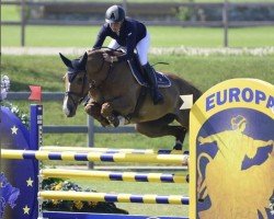 broodmare Cyprus (KWPN (Royal Dutch Sporthorse), 2007, from Vigo d'Arsouilles)