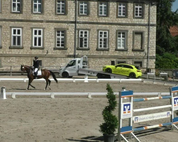 Reitturnier Hildesheim-Steuerwald 2025