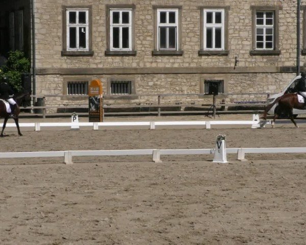 Reitturnier Hildesheim-Steuerwald 2025