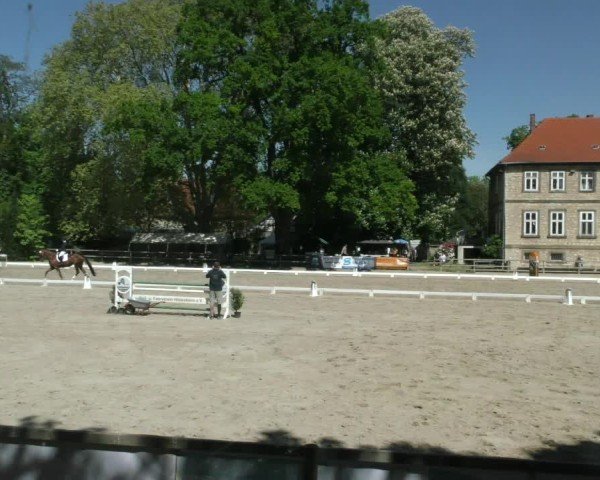 Reitturnier Hildesheim-Steuerwald 2025