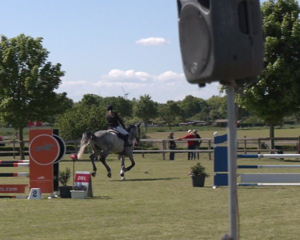 Reitturnier Wilkenburg 2025