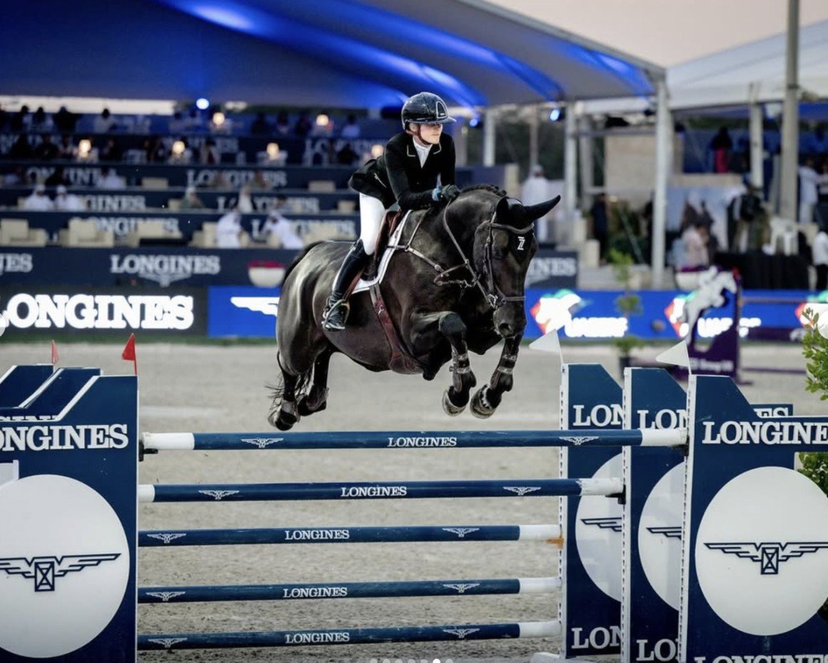 Springpferd Be Golden Lynx (Anglo Europäisches Sportpferd, 2016, von Golden Hawk)