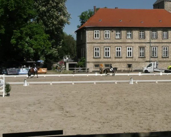 Reitturnier Hildesheim-Steuerwald 2025