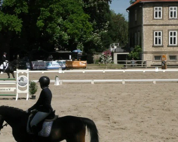Reitturnier Hildesheim-Steuerwald 2025
