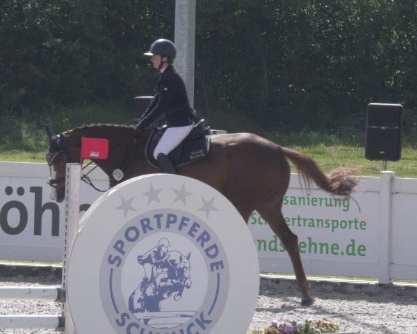 Reitturnier Babenhausen 2025