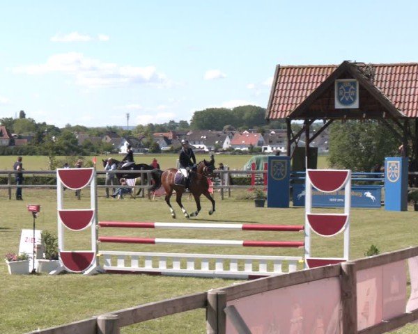 Reitturnier Wilkenburg 2025