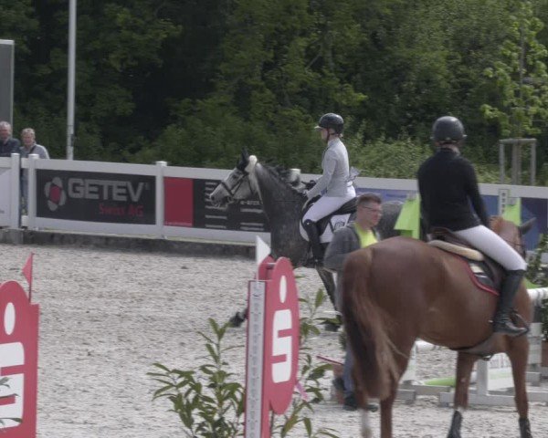 Reitturnier Babenhausen 2025