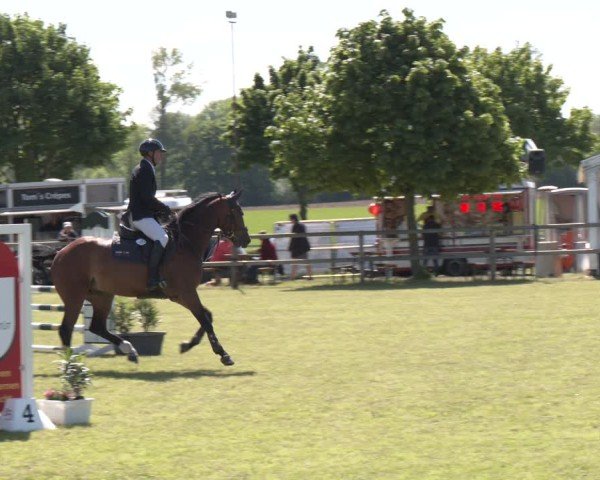 Reitturnier Wilkenburg 2025