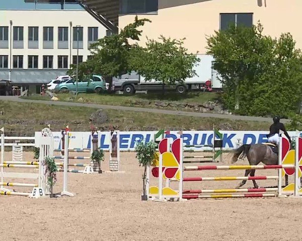Reitturnier Kreuth/Opf. 2025