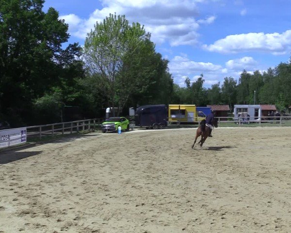 Reitturnier Lienen 2025