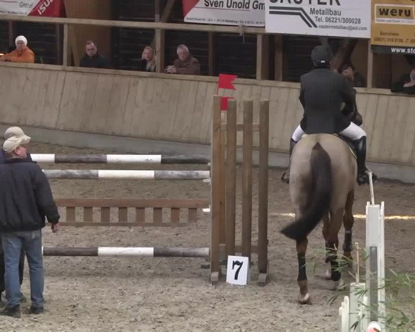 Hallenturnier Heidelberg-Kirchheim 2014