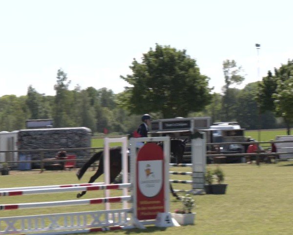 Reitturnier Wilkenburg 2025