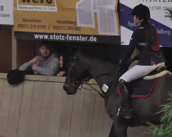 Hallenturnier Heidelberg-Kirchheim 2014
