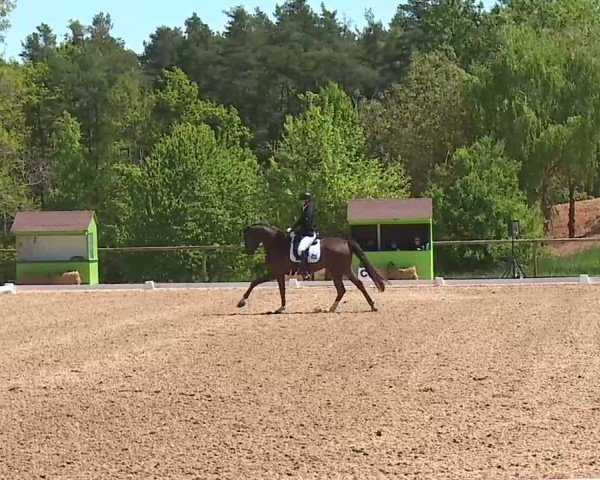Reitturnier Kreuth/Opf. 2025