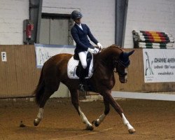 dressage horse Funky Town P (Hanoverian, 2011, from Fürst Nymphenburg)