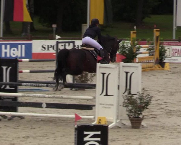 Reitturnier Westergellersen 2021