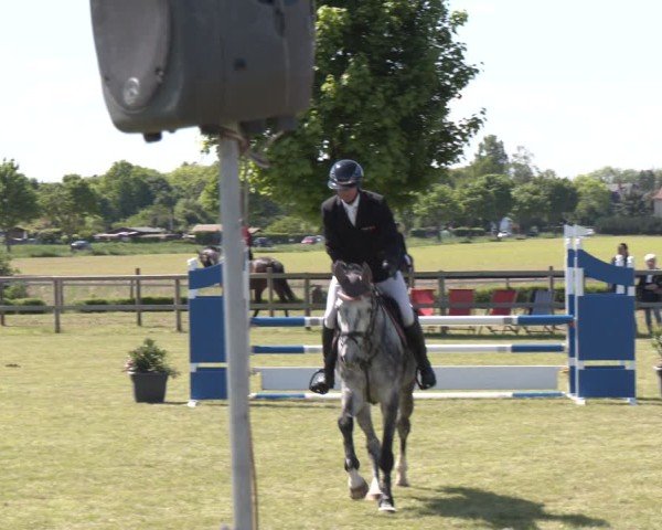Reitturnier Wilkenburg 2025