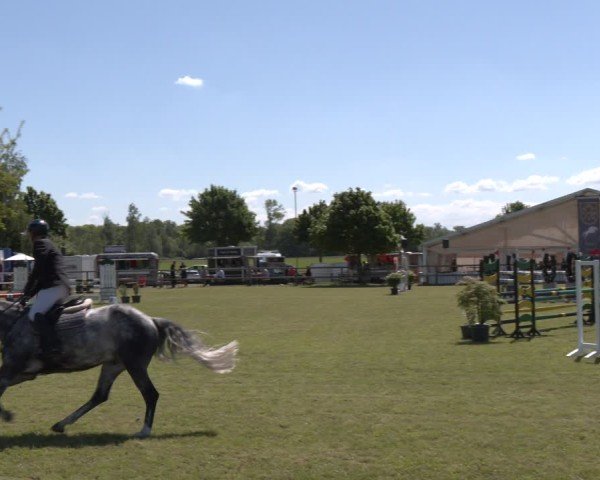 Reitturnier Wilkenburg 2025