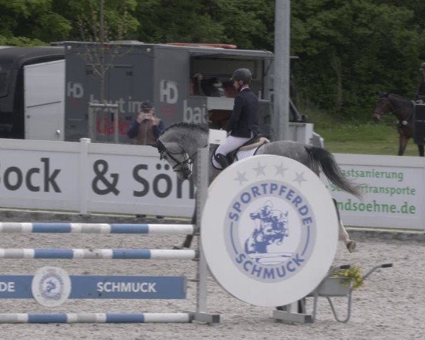 Reitturnier Babenhausen 2025