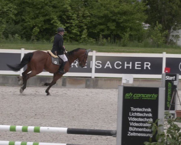 Reitturnier Babenhausen 2025